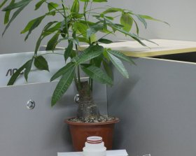 长222+平密封PTFE聚四氟乙烯折叠滤芯